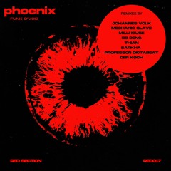 Funk D'Void - Phoenix (RED117)