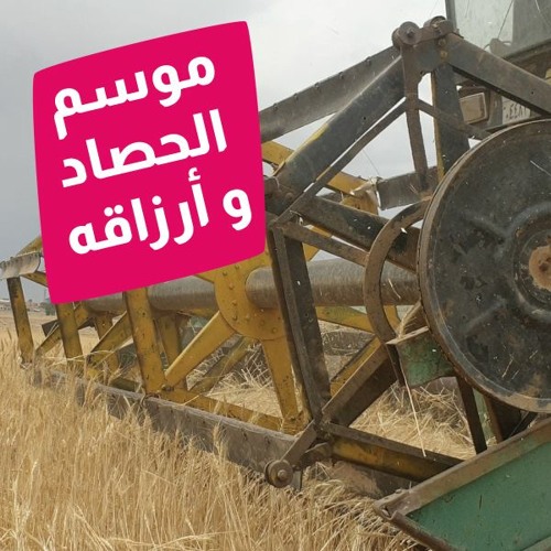من الرقة للدير - الحلقة 159 - موسم الحصاد وأرزاقه
