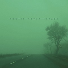 nonemotion, cozmica - you'll never forget