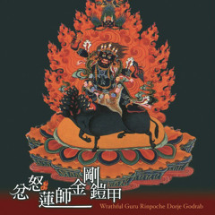 金刚铠甲心咒 -GNR