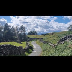 Paths Ahead