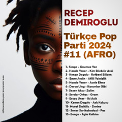 Recep DEMIROGLU - Türkçe Pop Parti 2024 #11 (AFRO)
