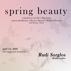 Rudi Sorglos @ Spring Beauty 04.01.2023