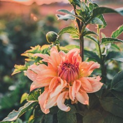 hold onto you- Jody & Tamara