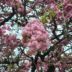 18. Po' Away (prod. dragos marcus)