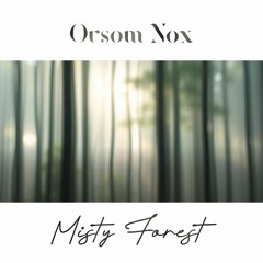 Misty Forest