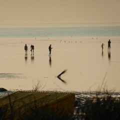 Dawn At The Seashore (jazz-quintet, comp. michael spielmann)