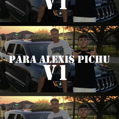 PARA ALEXIS PICHU