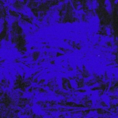 Discography