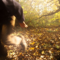 Axefield - We HAVE to GO!