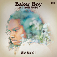 Wish You Well (feat. Bernard Fanning)