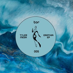 Tyler Mesa - Dream To Reality [Snippet]