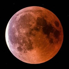 Moonclipse @ Ozora Festival 2023