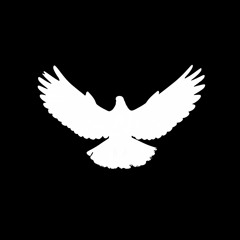 Time to Fly (Alt Lyrics - v1.0)