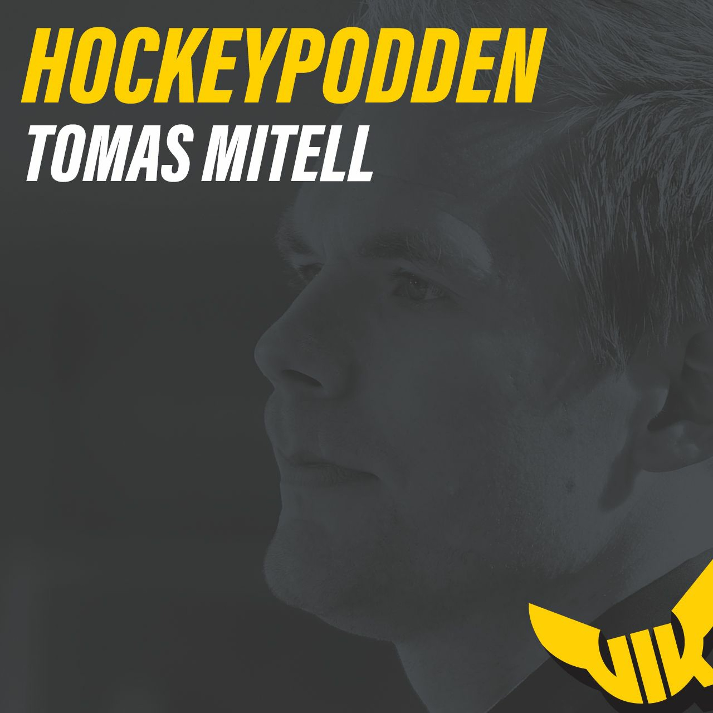 Hockeypodden på VIK.se