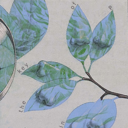 Puddles the Pangolin