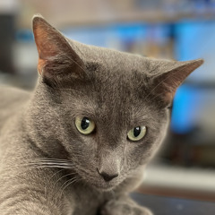 Relentless Milk Monster.m4a