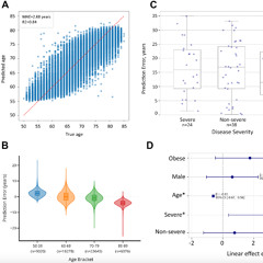 AI Tools Uncover New Link Between Idiopathic Pulmonary Fibrosis and Aging
