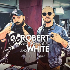 Robert Georgescu and White || Organic Fusion || 31.01.2025