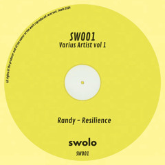 Resilience (Original Mix) [SW001]