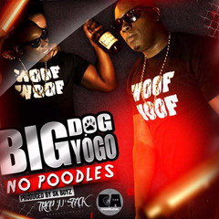 Big Dog Yogo - No Poodles