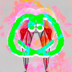 CMR123 - Sebastian Markiewicz - NFT