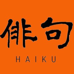 Haiku 3  - (Passeggiata in versi) . . . . . 00:27