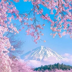 デートの夜