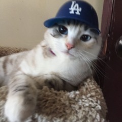 픽보이 가사 - Chance (Feat. HAAN & 찬)