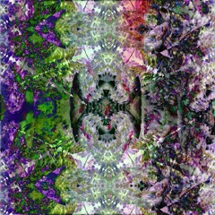 mindlessly mindful musings