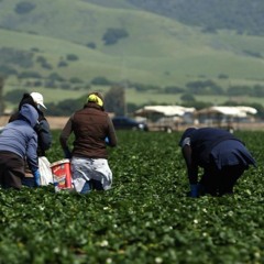 Episode 105: Pandemic, Pelosi, and the People We Consider Human