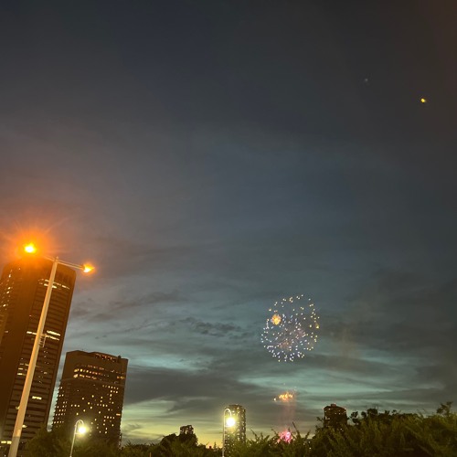 LONELY NIGHTS (GONZ Sampling Paradise Remix) / tofubeats