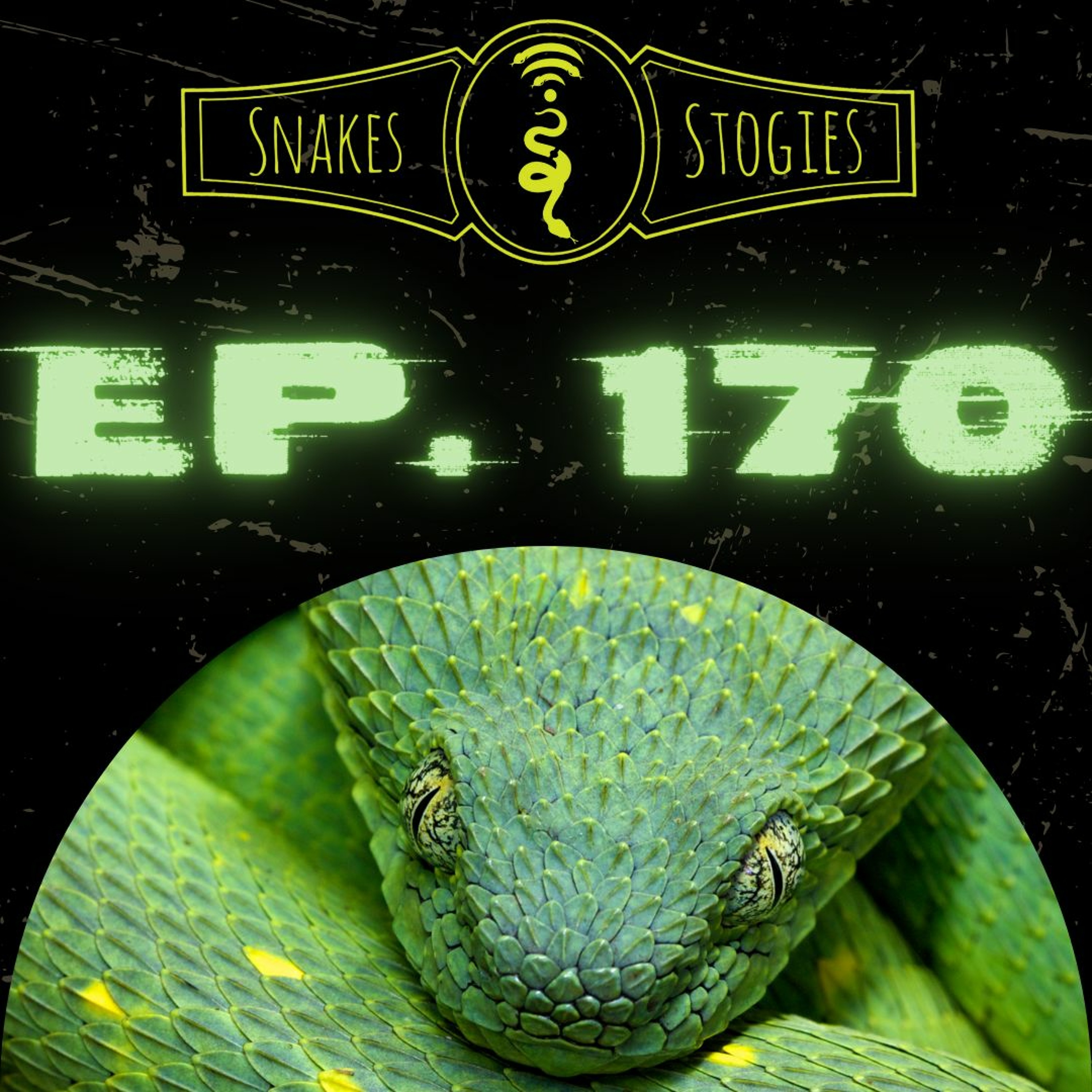 Snakes & Stogies Ep. 170