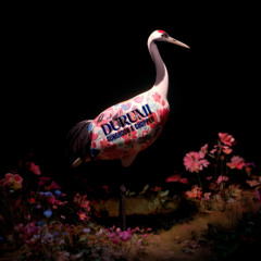 SUNG HOON, CHOPPER - DURUMI (Original Mix)