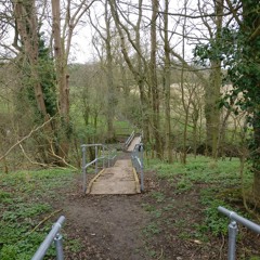 Belchamp Brook, Essex - 16th March 2020