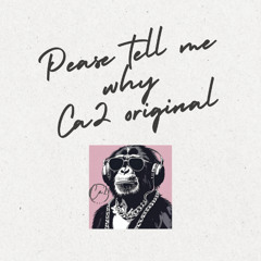 Please tell me why (ca2 mix)