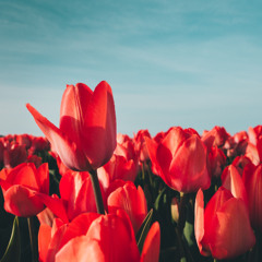 Kogda My Smeyomsya (When We Laugh), 120 BPM/WAV