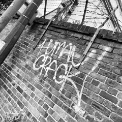 GirlLondon // Tech Me Up // Nov 2024(m)