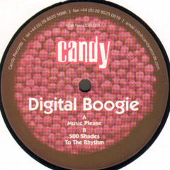 Digital Boogie - 500 Shades (Original Mix)