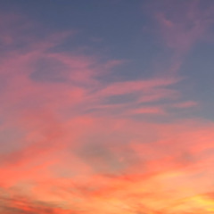 IMBROGLIO: 25th September '25