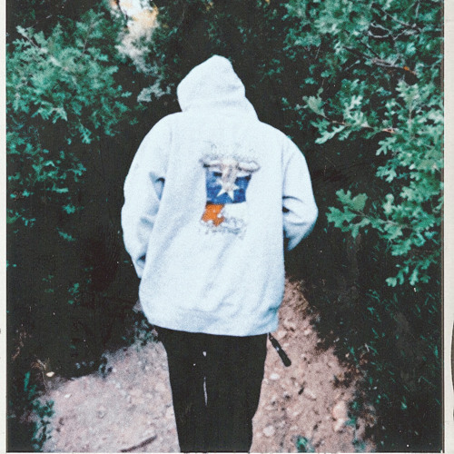 walk with me (prod. bloom)