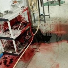 (((DJ NEGATIVE MIXX)))