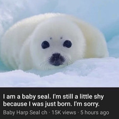 Cody Luv - seethatgold (Prod. Cody Luv)