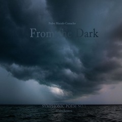 From the Dark (excerpt)