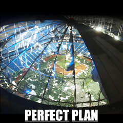 Perfect Plan