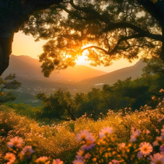 afternoon ambience (speed up)
