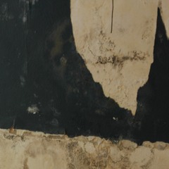 Klantadviseur bij triodos bank