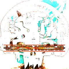 TenGraphs - Possessed (Lekker Hondje Bootleg) //DnB, Neurofunk, Techstep