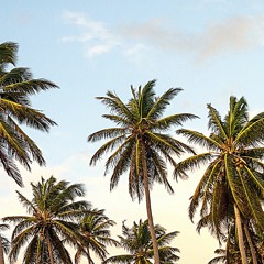 Hawaii [Prod. By Val]