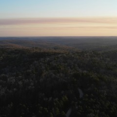WOOD KNOCK AT THE KILLING FIELDS "THE CURRENT RIVER"